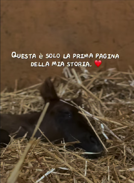 Cover reale di Irma sulla paglia: Questa è solo la prima pagina della mia storia