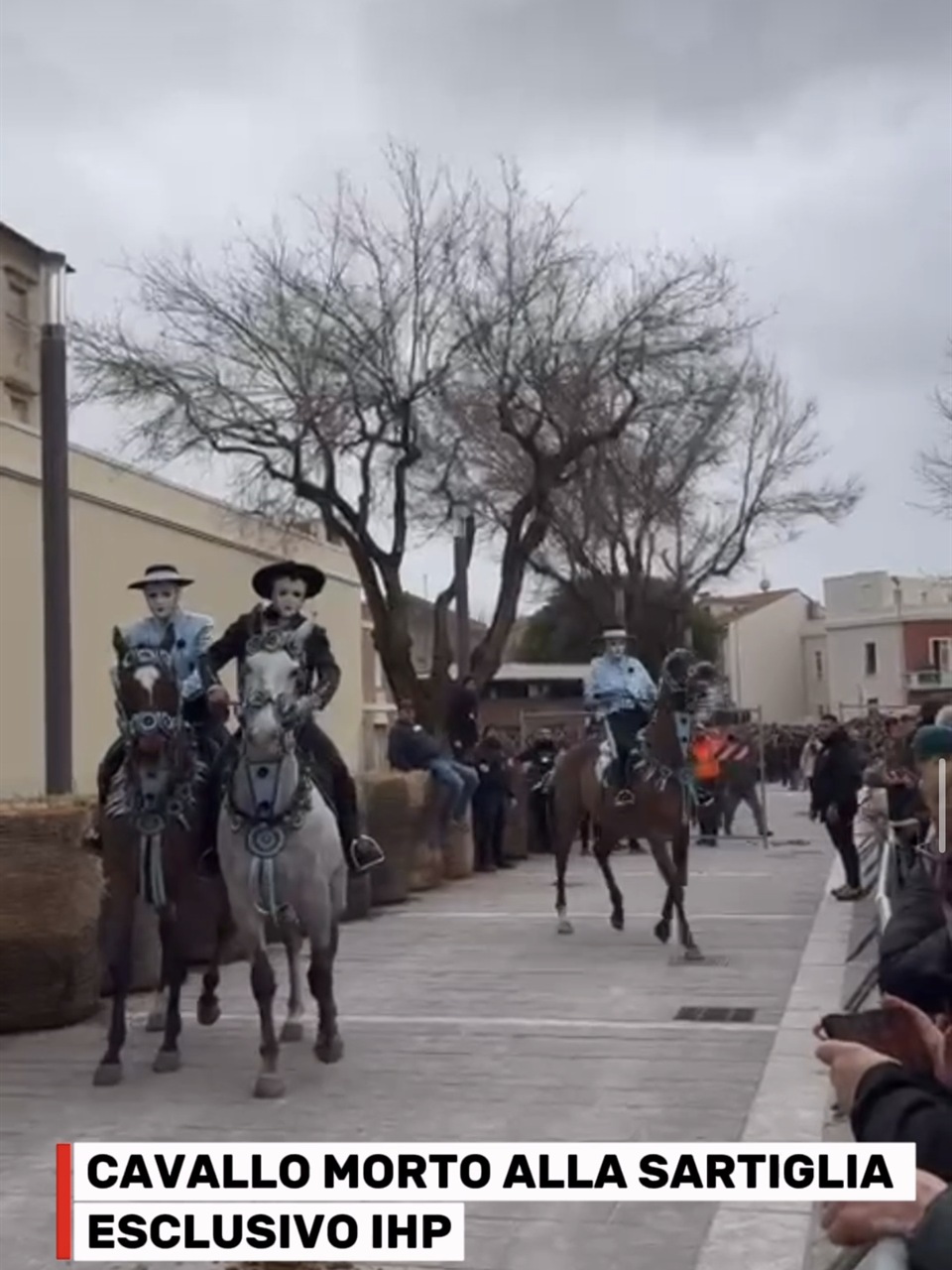 Contenuto IHP di cronaca: Cavallo morto alla Sartiglia, esclusivo IHP