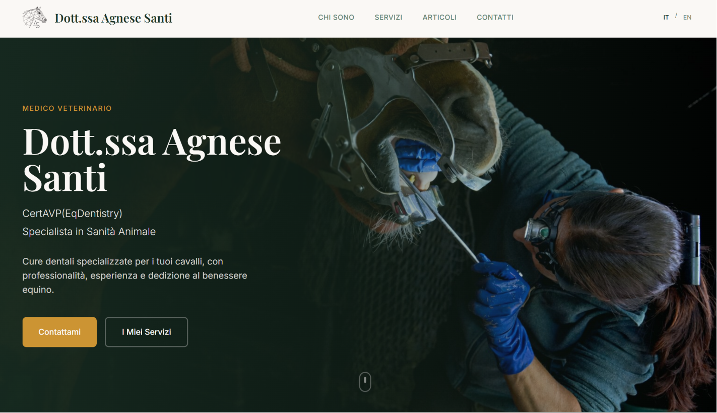 Anteprima sito Agnese Santi